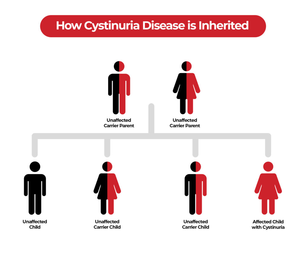 How Cystinuria Disease is Inherited