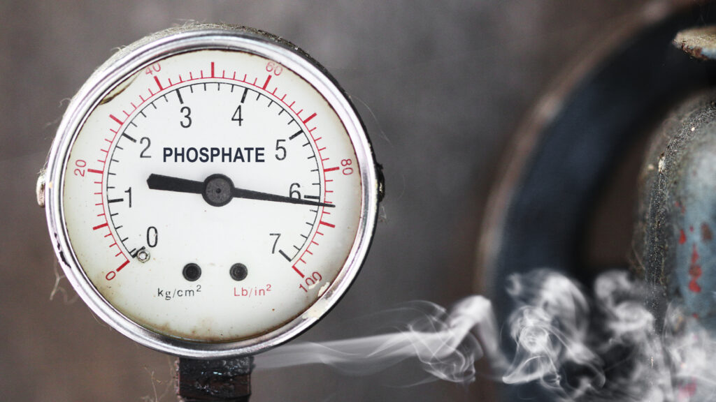 Phosphate Leak Leads To Kidney Stones