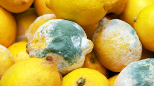 The Hidden Dangers of Manufactured Citric Acid